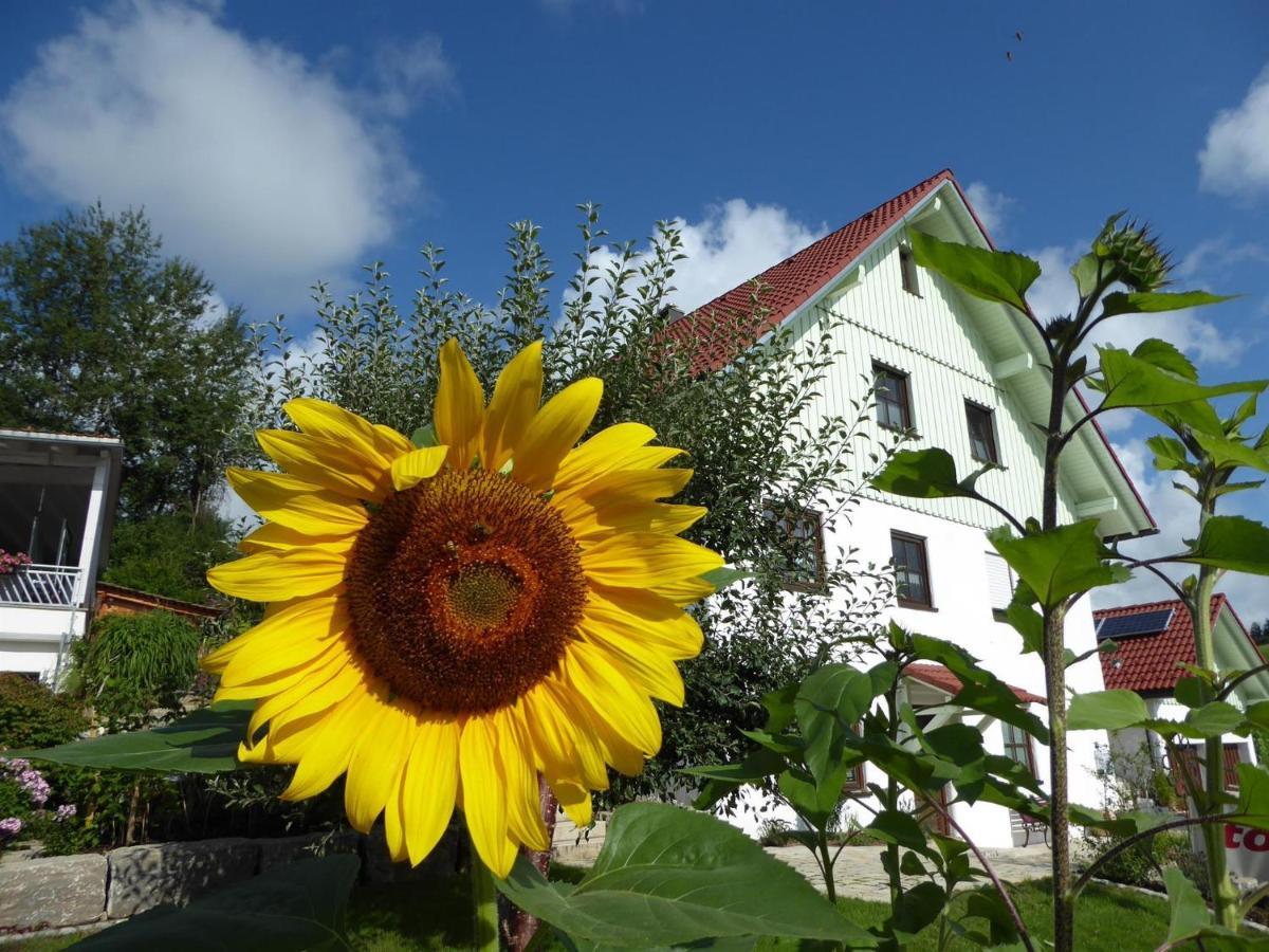 Erholungsraum Karsee - Ferienwohnung Ванген-им-Альгой Экстерьер фото